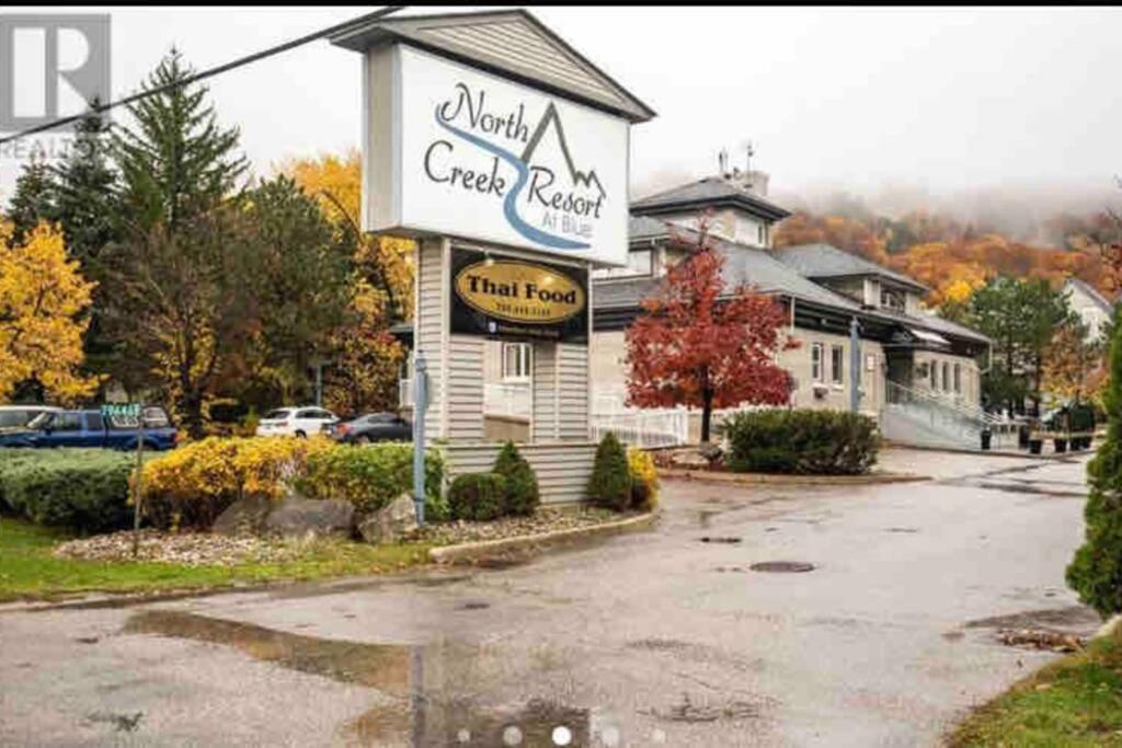 Blue Mountain Studio Oasis Blue Mountains Extérieur photo